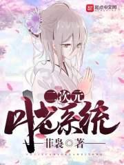 二次元神系统