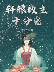 轩辕殿商店