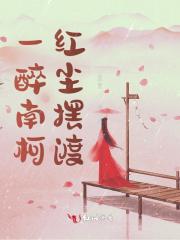 一醉南柯红尘摆渡什么意思