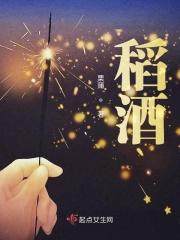 稻酒翁酒价格一览表