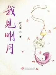 我见明月应如是