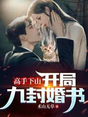 高手下山开局九封婚书韩风笔趣阁