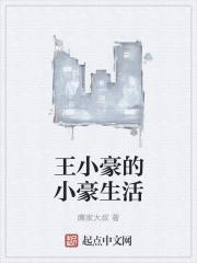 王晓豪是谁