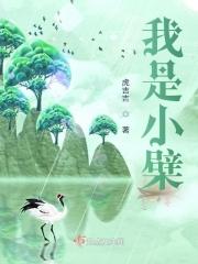 我是小xy