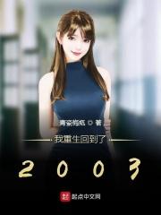 重生回到2003