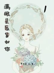 满眼皆星辰什么意思