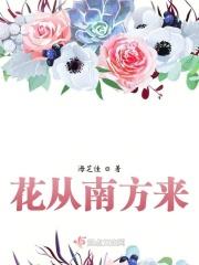 从南方飞来的鸟儿告诉我是什么歌