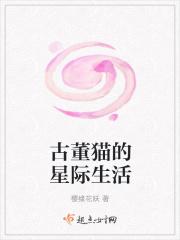 古董猫咪