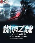 燃钢之魂多少字