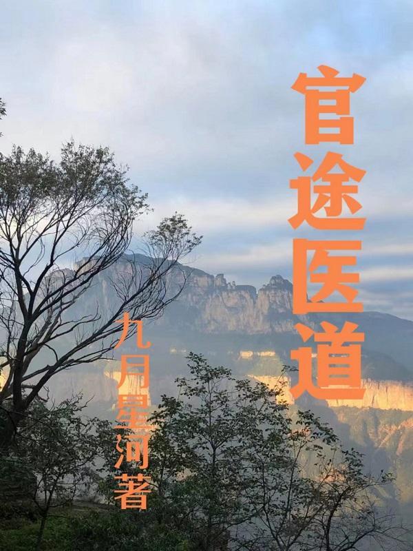 官途医道官整版TXT