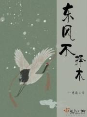 东风不待