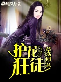 护花狂龙全文免费听全文易军