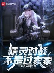 精灵对战大师