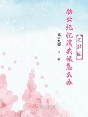 大脑记忆之谜