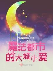 魔法阵都市 动漫