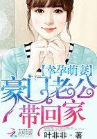 幸孕萌妻豪门老公带回家 叶非非