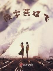 徽雨燕双飞