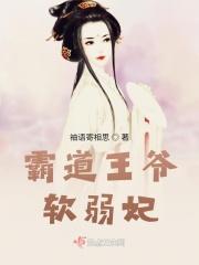 霸道王爷宠妃