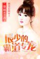 辰少宠上瘾