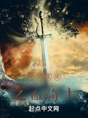 神印王座圣骑士长是谁