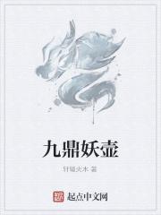 九鼎壶值得买吗