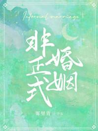 非正式婚姻by雾里青好看吗