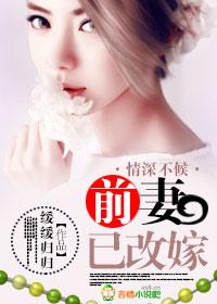 前妻不好宠免费阅读全书