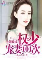 权少宠妻婚不由己全文免费阅读