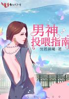 赵顾琛叶绯