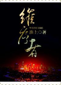 维序者番外完结了吗