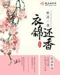 衣锦还香结局