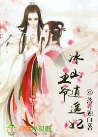 冰山王爷的俏皮王妃免费阅读