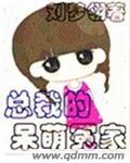 总裁的呆萌前妻免费阅读