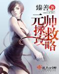 救元帅失败了
