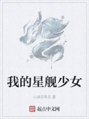 星舰 leo
