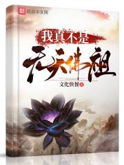 我真不是无天佛祖免费阅读