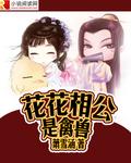 花花公主猜一生肖