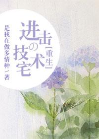 技术宅攻略免费