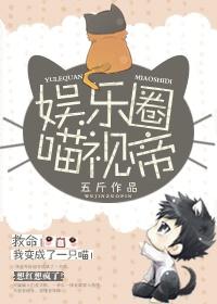 娱乐圈猫