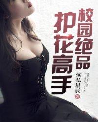 校园护花高手txt