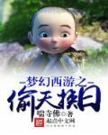 偷天大盗