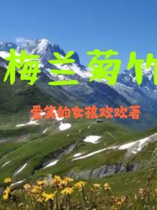 梅兰竹菊雪茄多少钱