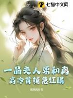 一品夫人二品