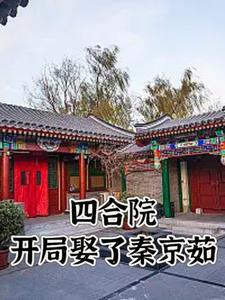 情满四合院秦淮如为什么不给傻柱生孩子