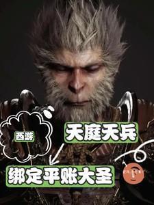 天庭天兵流