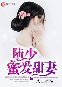 陆少的蜜宠甜阅读全文免费