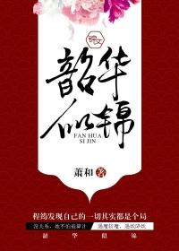 韶华如斯什么意思