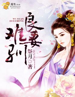 良妾难为txt