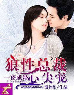 一夜成婚狼性总裁心尖宠秦梓笙