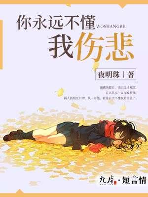 你永远不懂我的伤悲歌词
